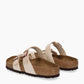 Mules Mayari
