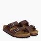 Mules Arizona