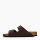 Mules Arizona