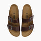 Mules Arizona