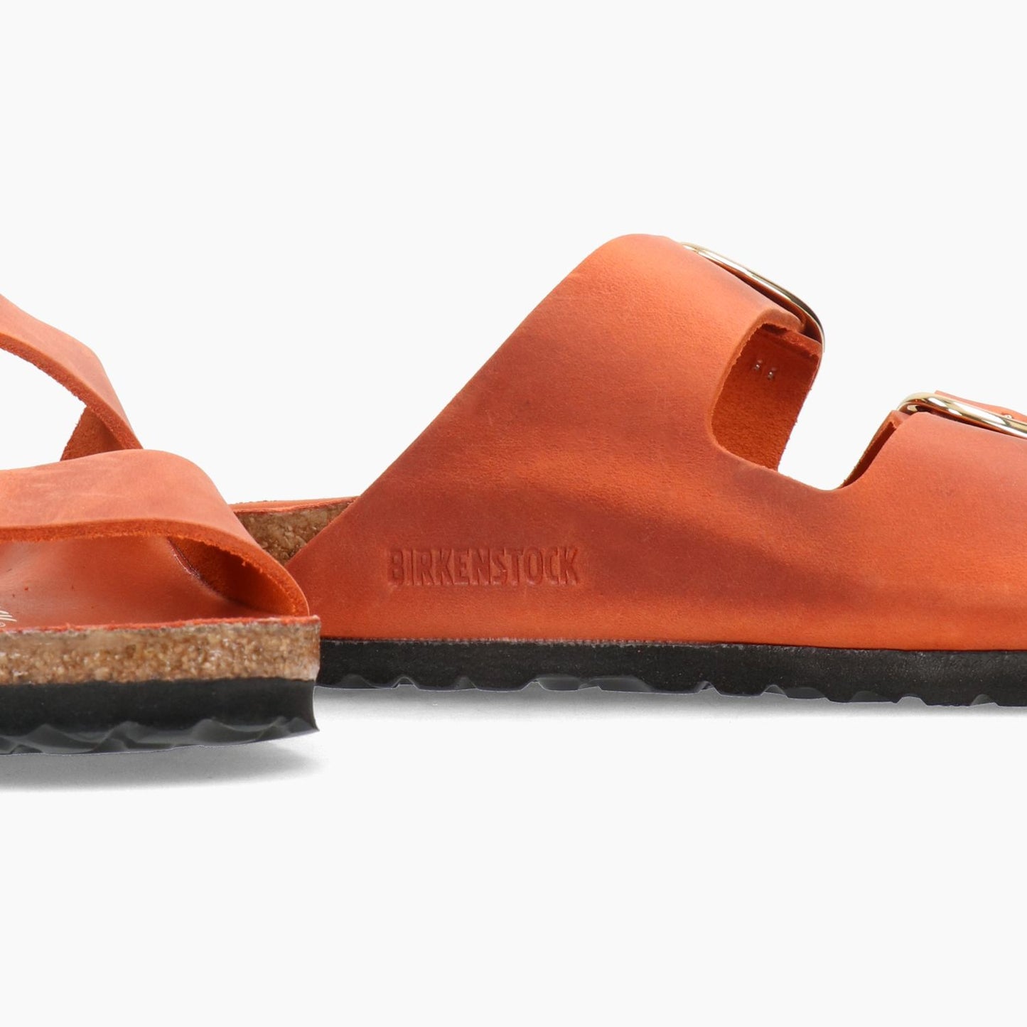 Mules Arizona Grande Boucle