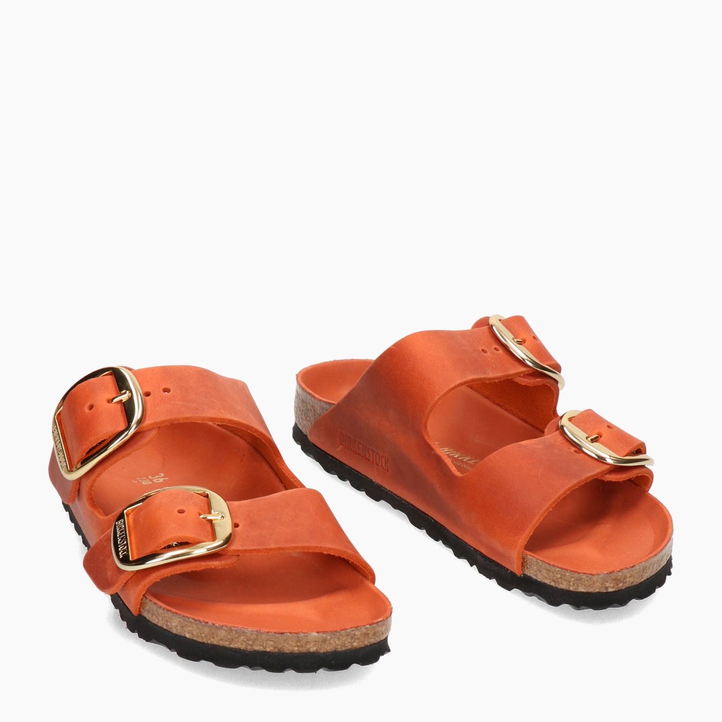 Mules Arizona Grande Boucle