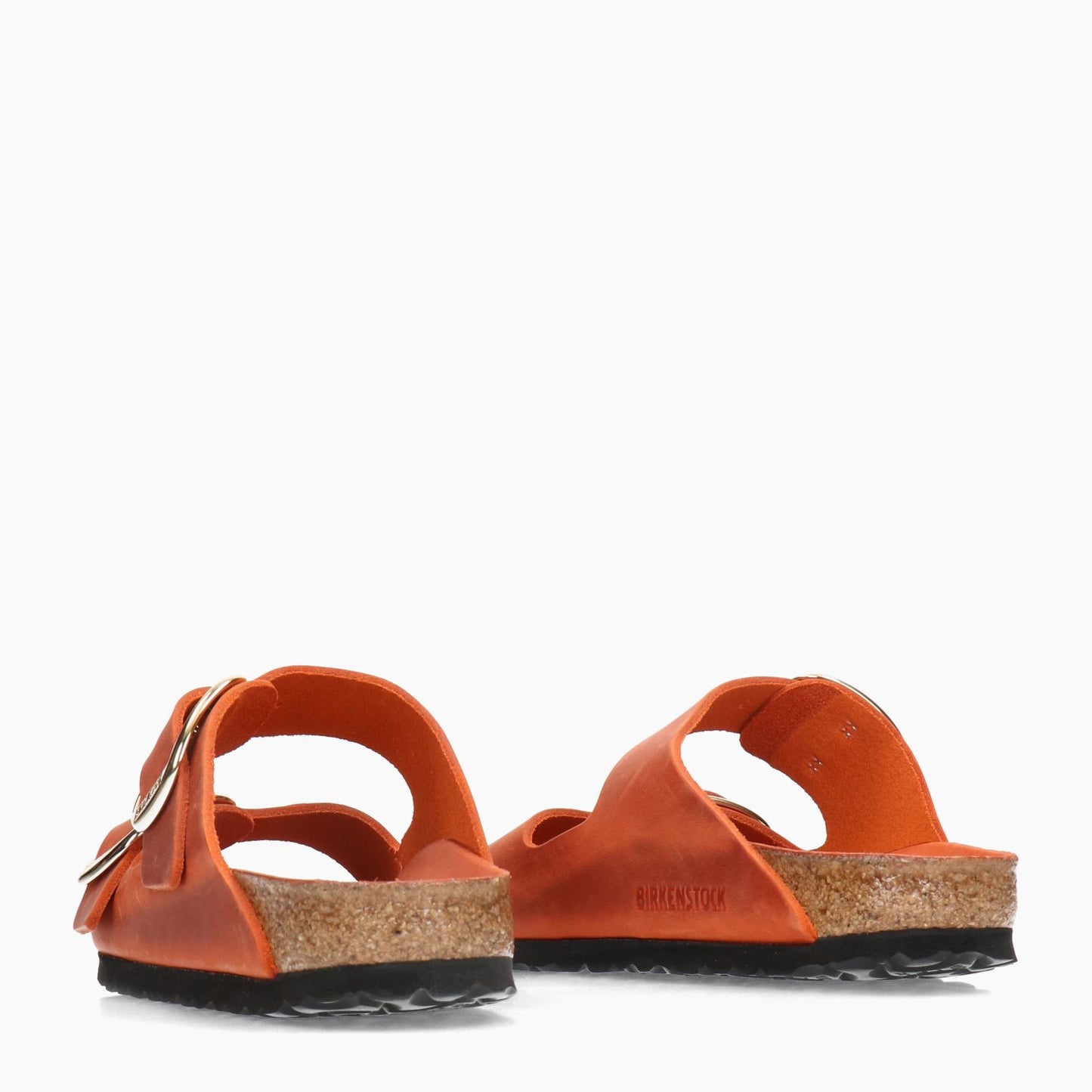 Mules Arizona Grande Boucle