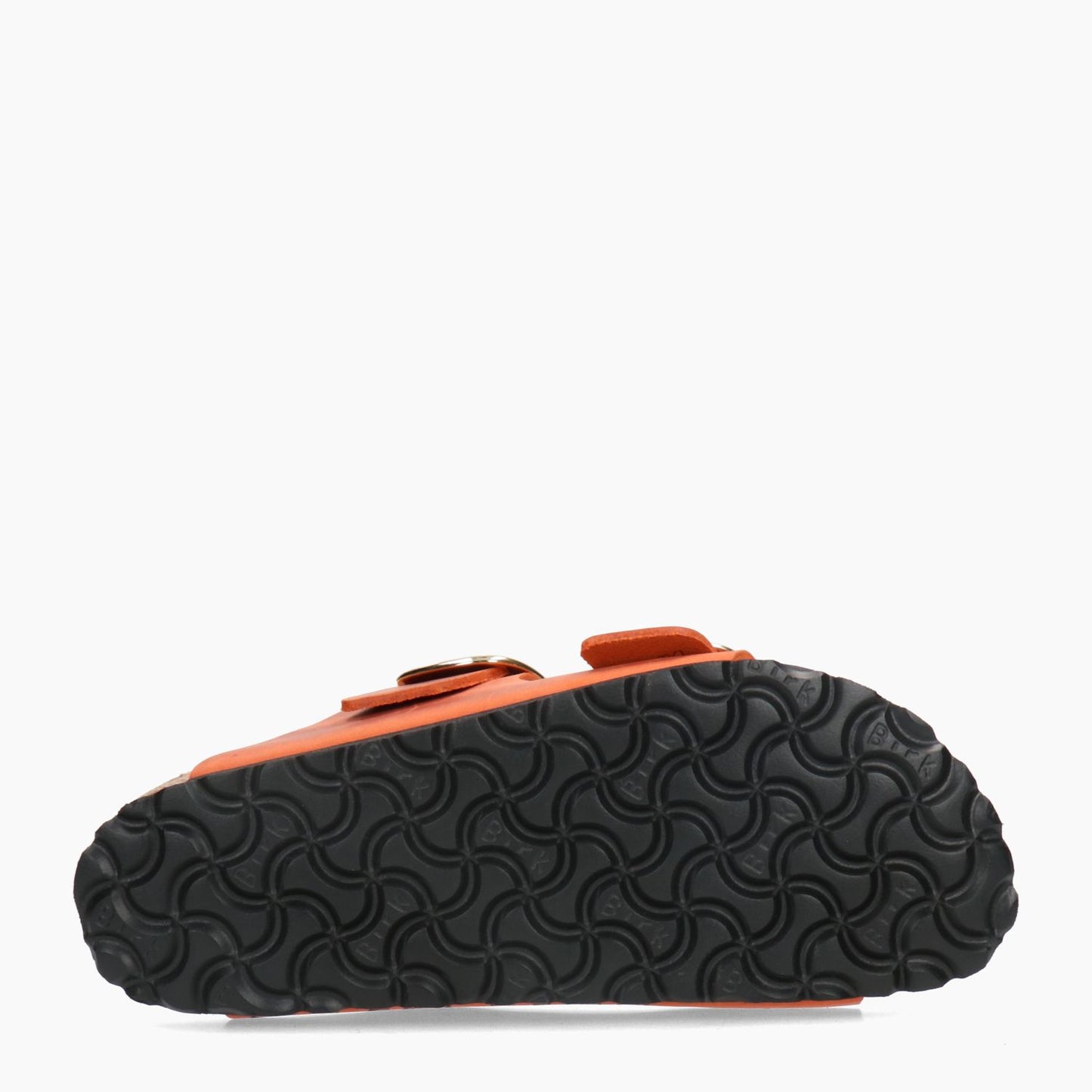 Mules Arizona Grande Boucle