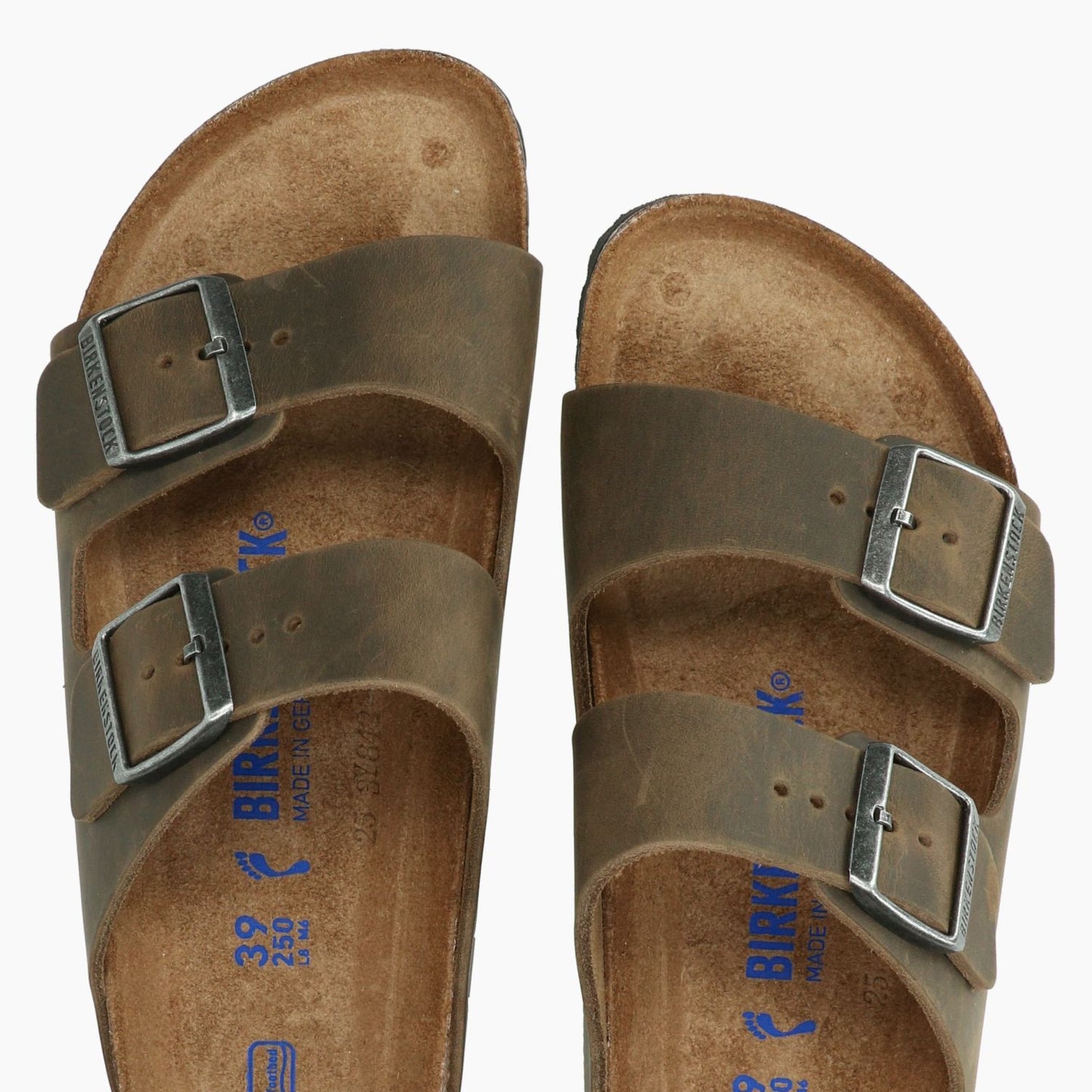 Arizona Sfb Slippers