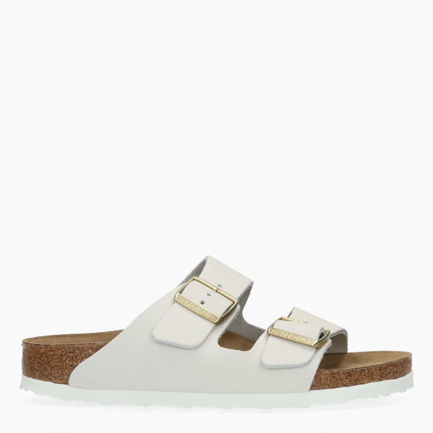 Mules Arizona