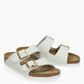Mules Arizona