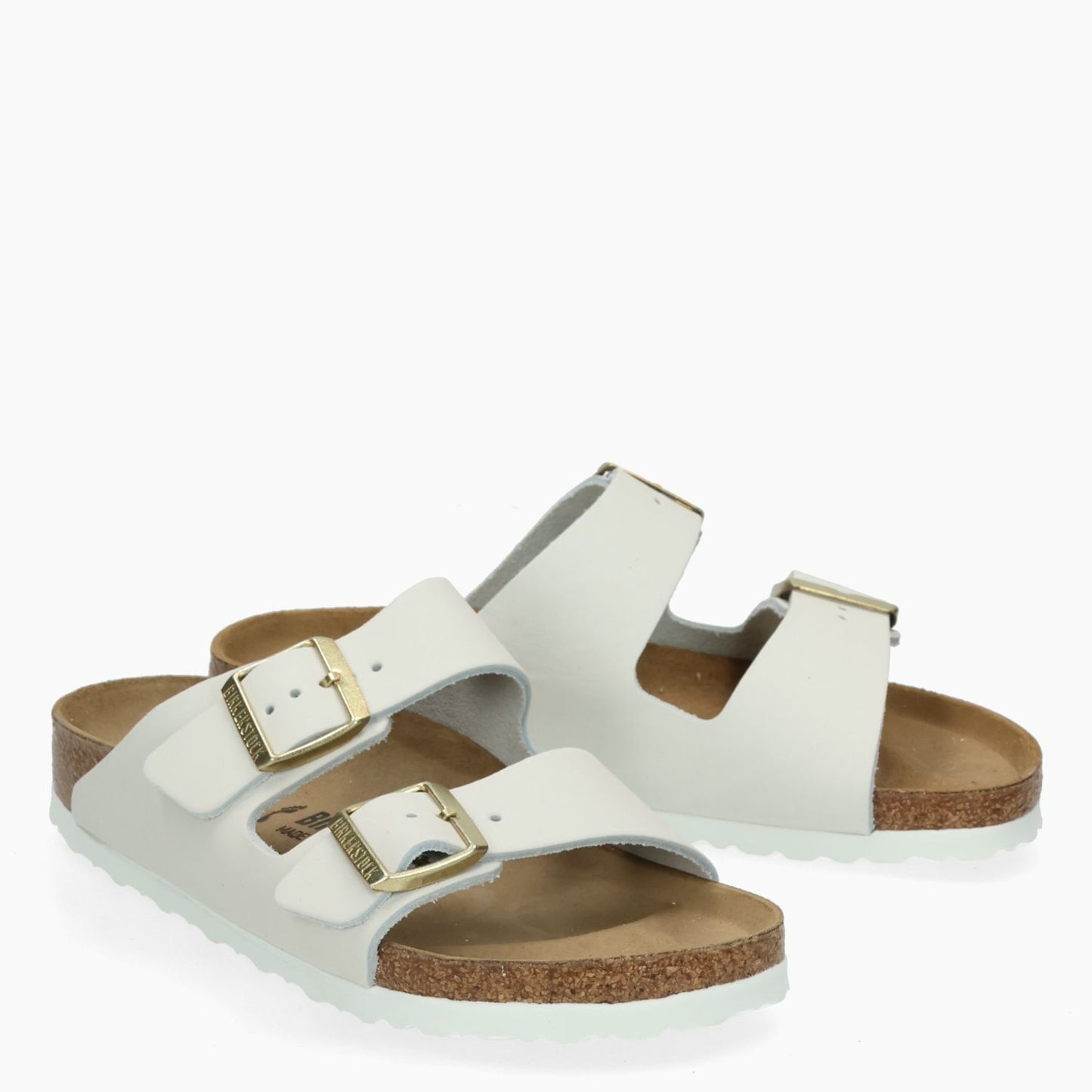 Mules Arizona