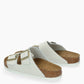 Mules Arizona