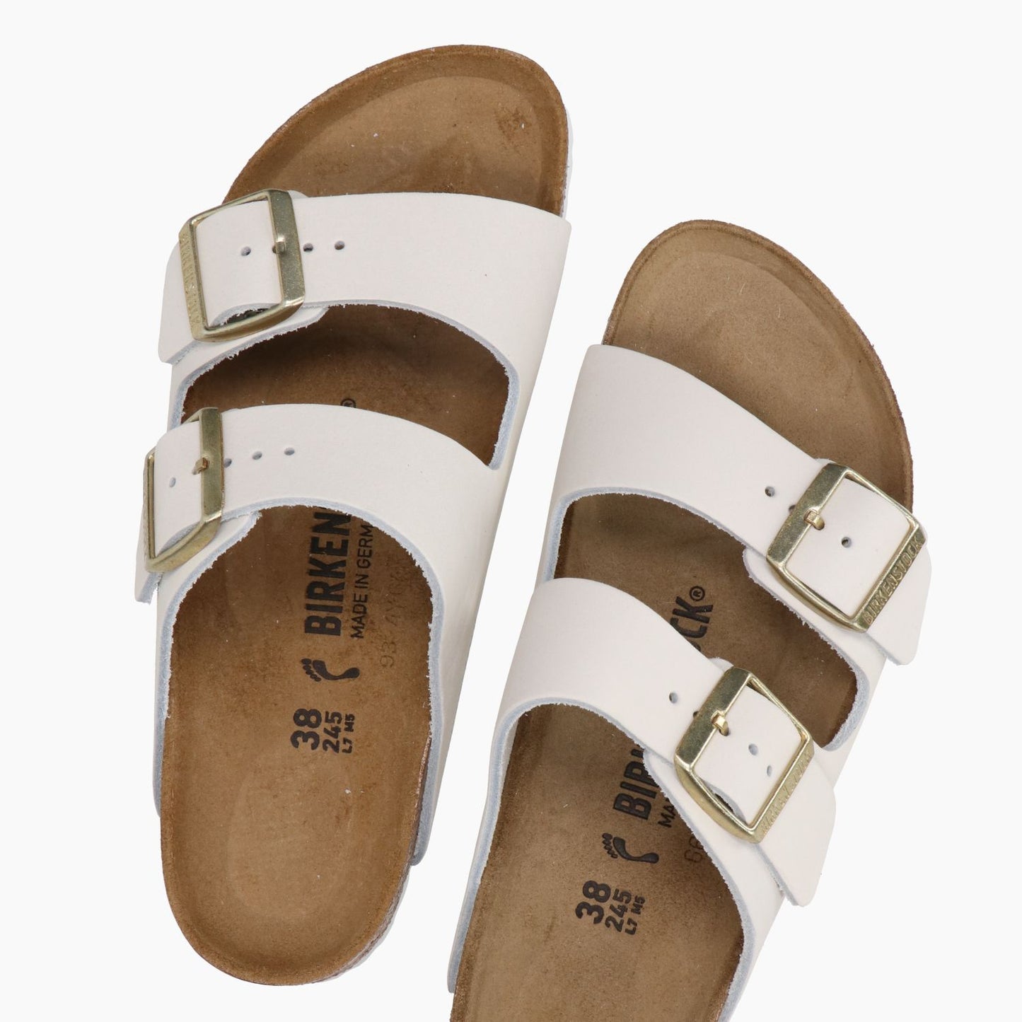 Mules Arizona