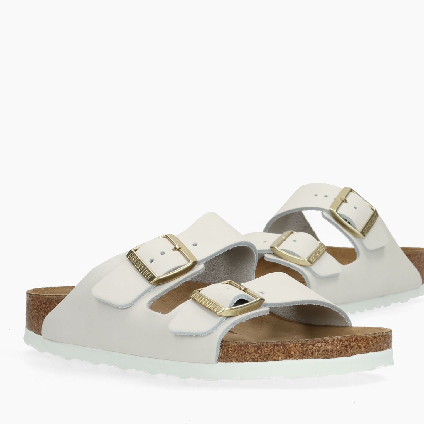 Mules Arizona