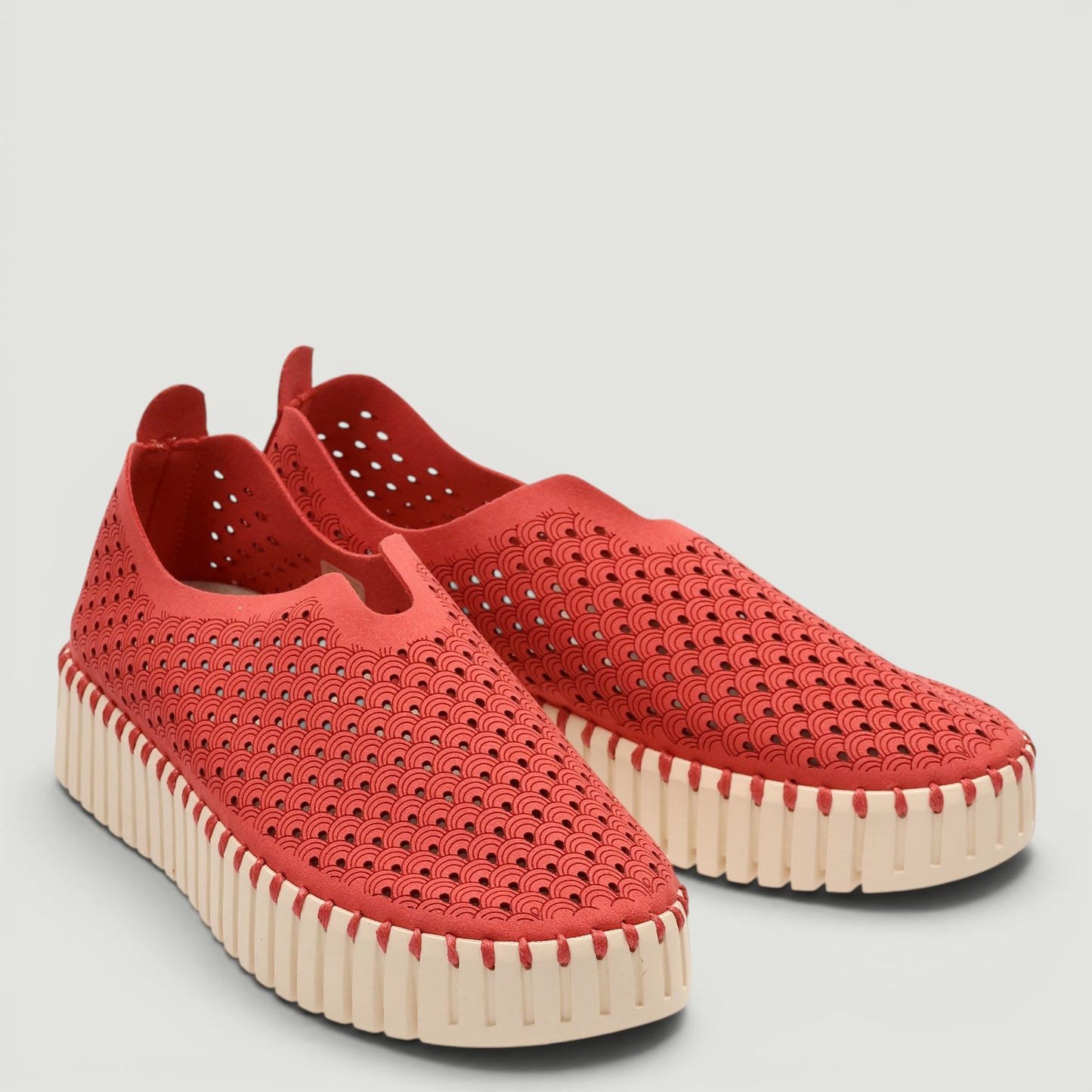 Sneakers Tulip-W
