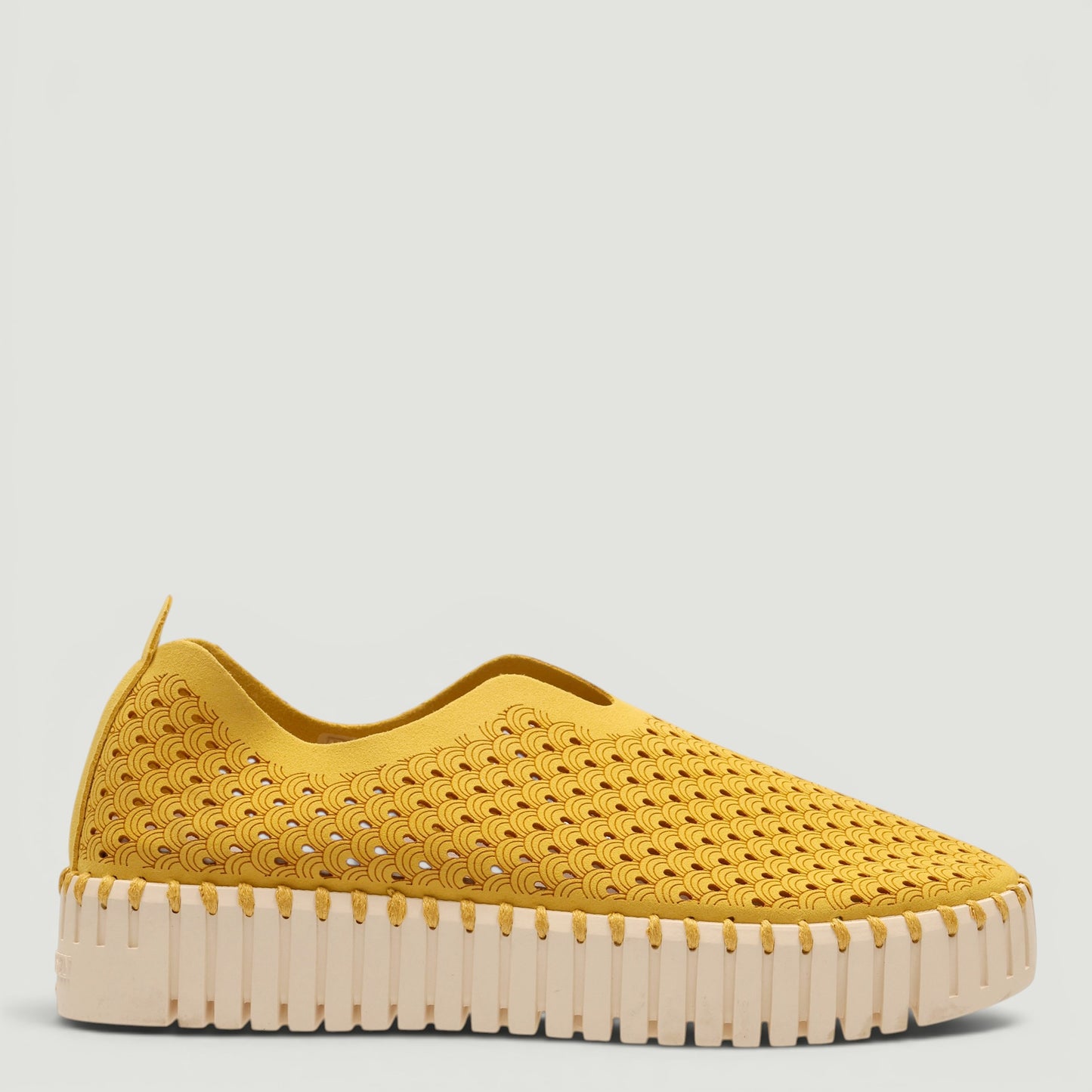 Sneakers Tulip-W