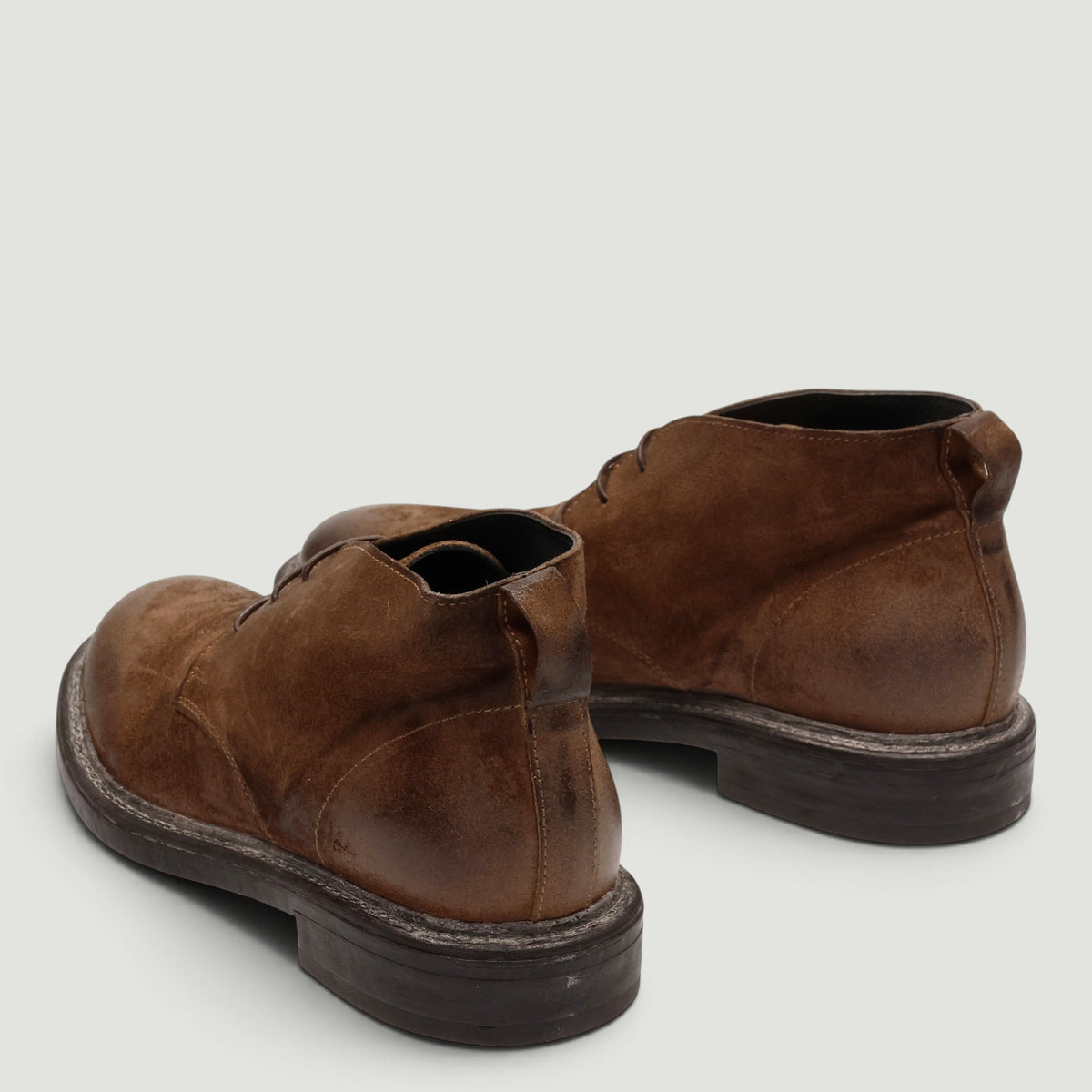 Polacchini Bristol